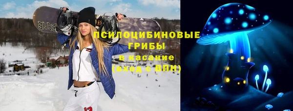 гидропоника Новокубанск