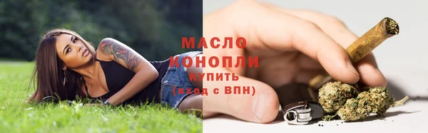 ешки Новозыбков