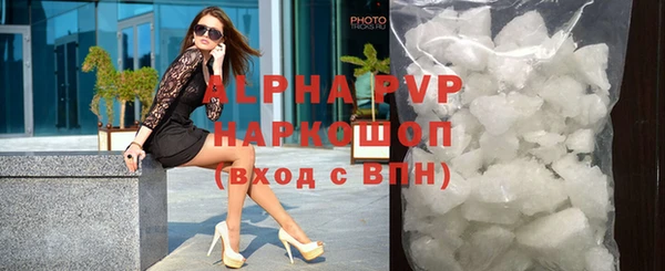 стаф Новодвинск