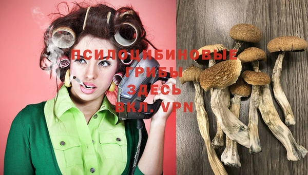 стаф Новодвинск