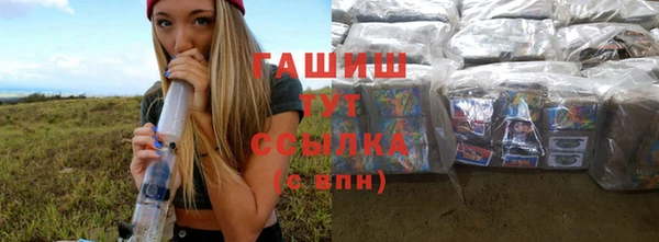 стаф Новодвинск