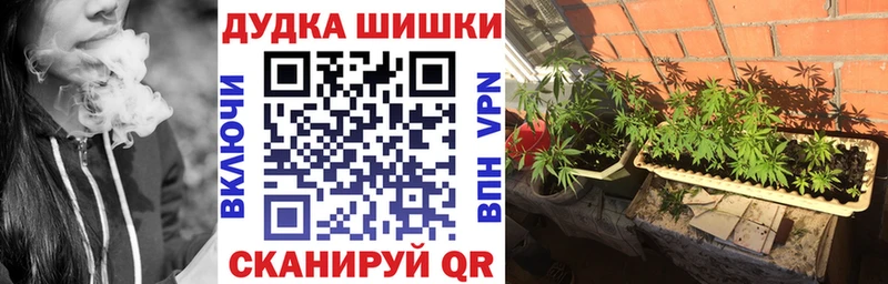 Купить  Иркутск  Бошки Шишки гибрид 